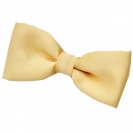 Boys Gold Satin Plain Dickie Bow Tie on Elastic